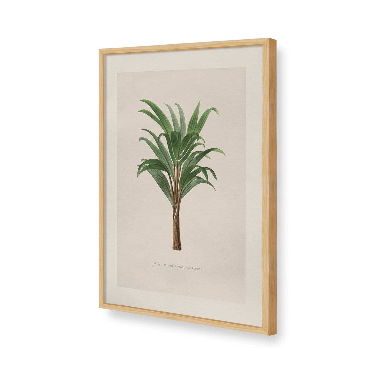 [Color:American Maple], Picture of art in a Polished Chrome frame of the corner