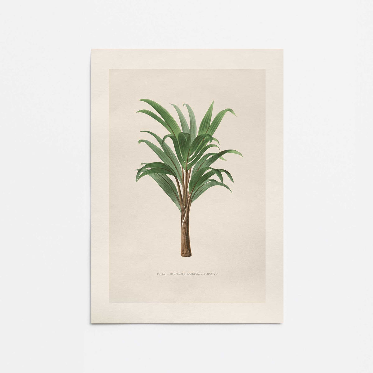 [Color:Rolled Print], Picture of close up of art