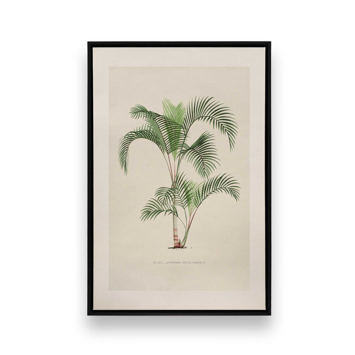 [Color:Satin Black], Picture of art in a Satin Black frame