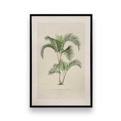 [Color:Satin Black], Picture of art in a Satin Black frame