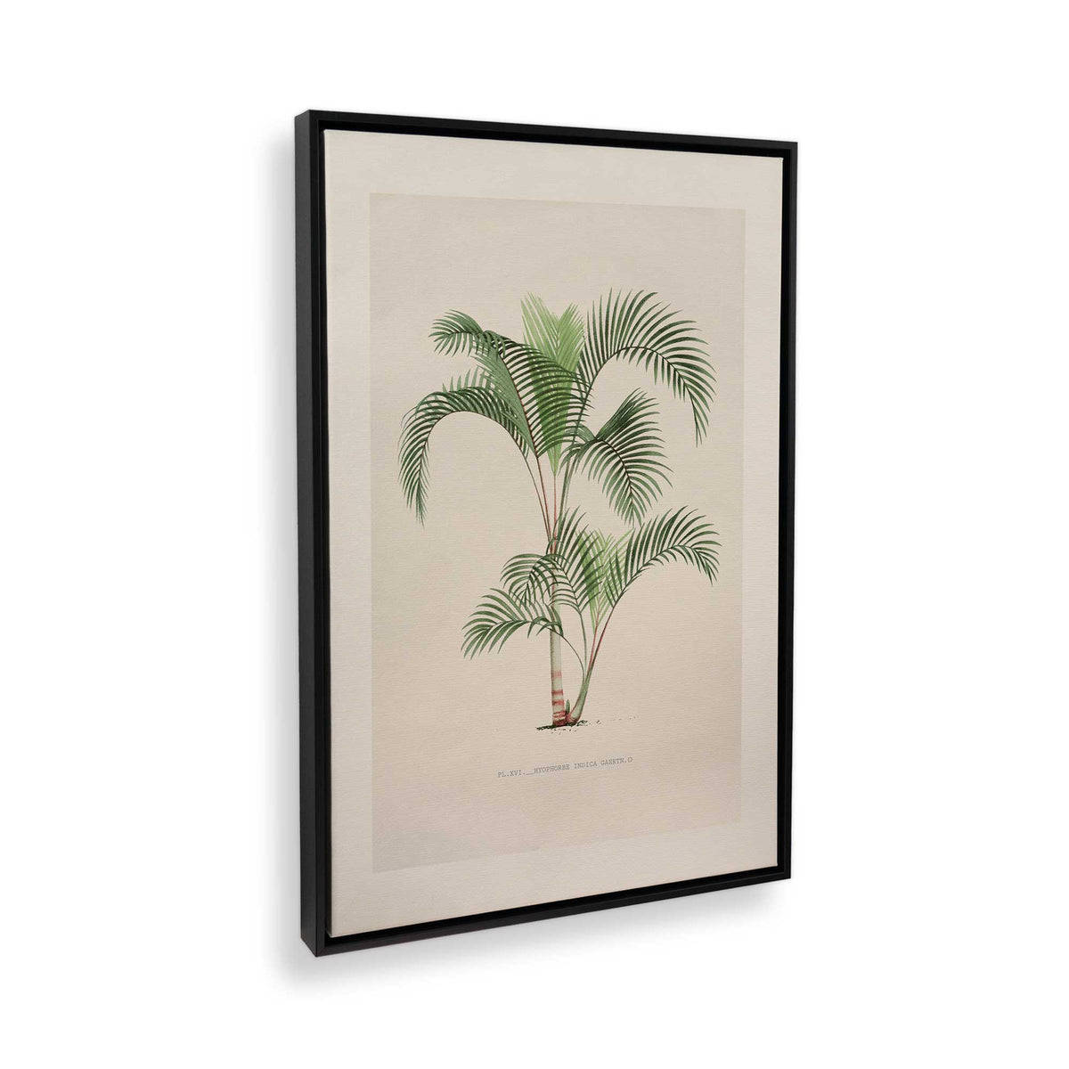 [Color:Satin Black], Picture of the corner of the art