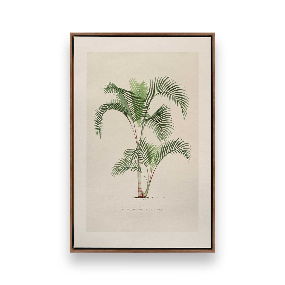 [Color:Walnut], Picture of art in a Walnut frame
