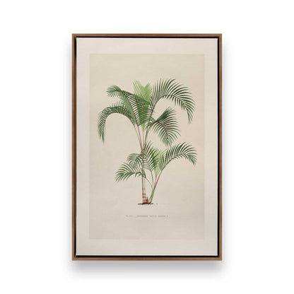 [Color:Walnut], Picture of art in a Walnut frame