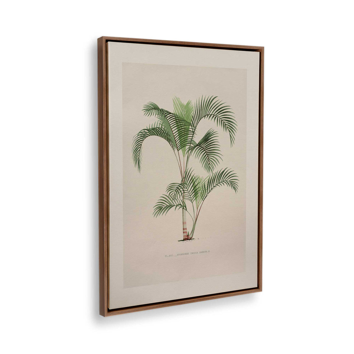 [Color:Walnut], Picture of the corner of the art