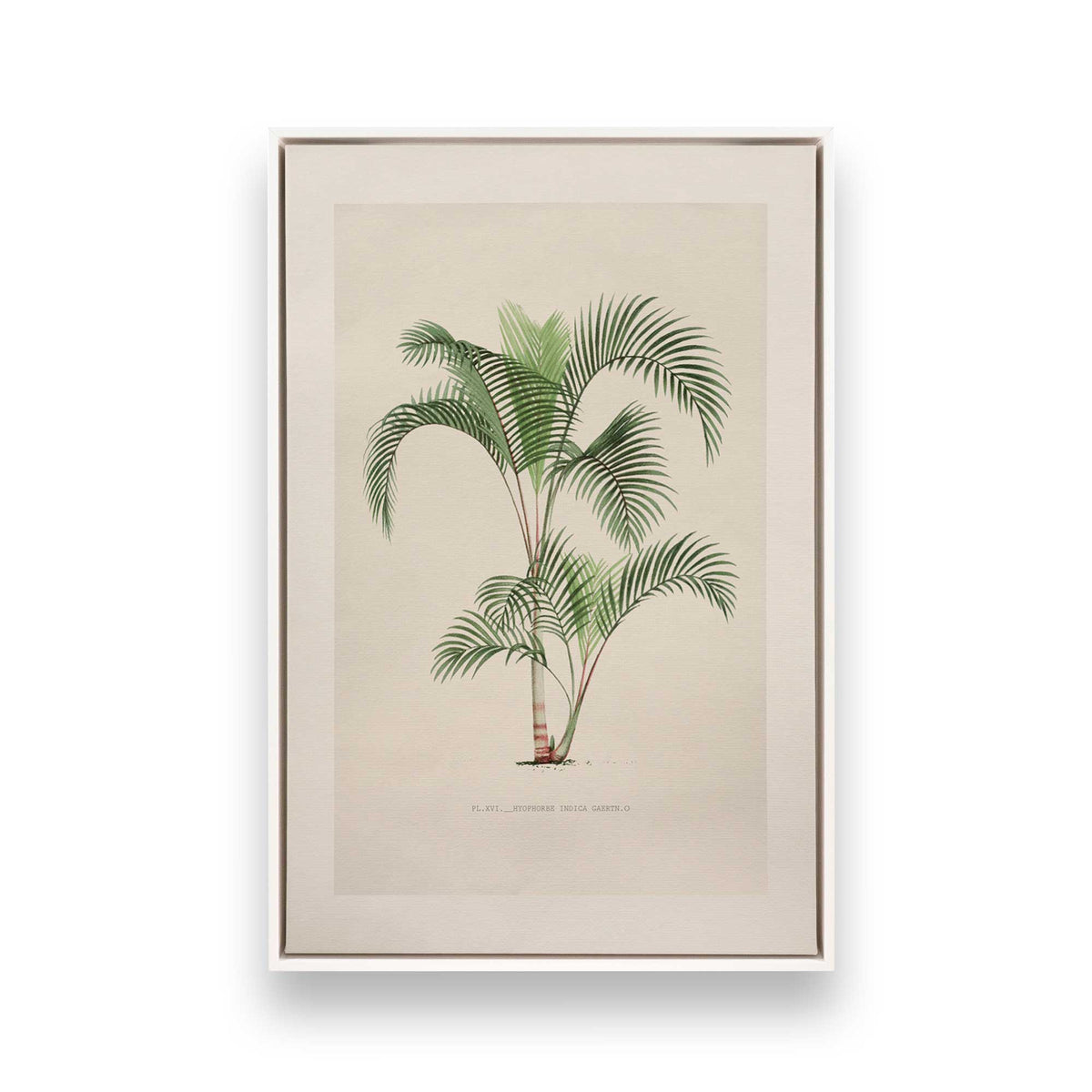 [Color:Opaque White], Picture of art in a White frame