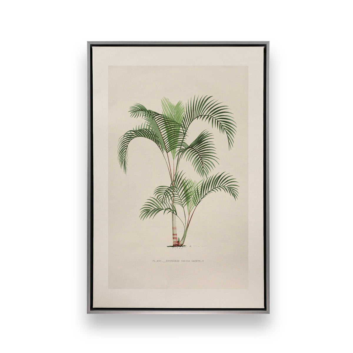 [Color:Polished Chrome], Picture of art in a Polished Chrome frame