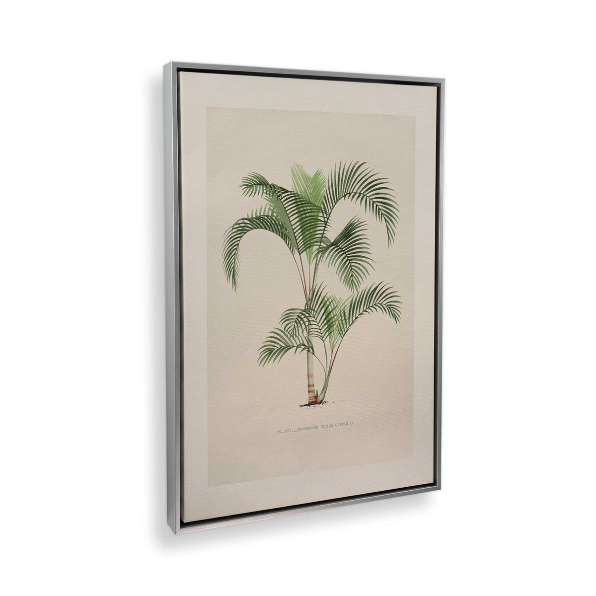 [Color:Polished Chrome], Picture of the corner of the art