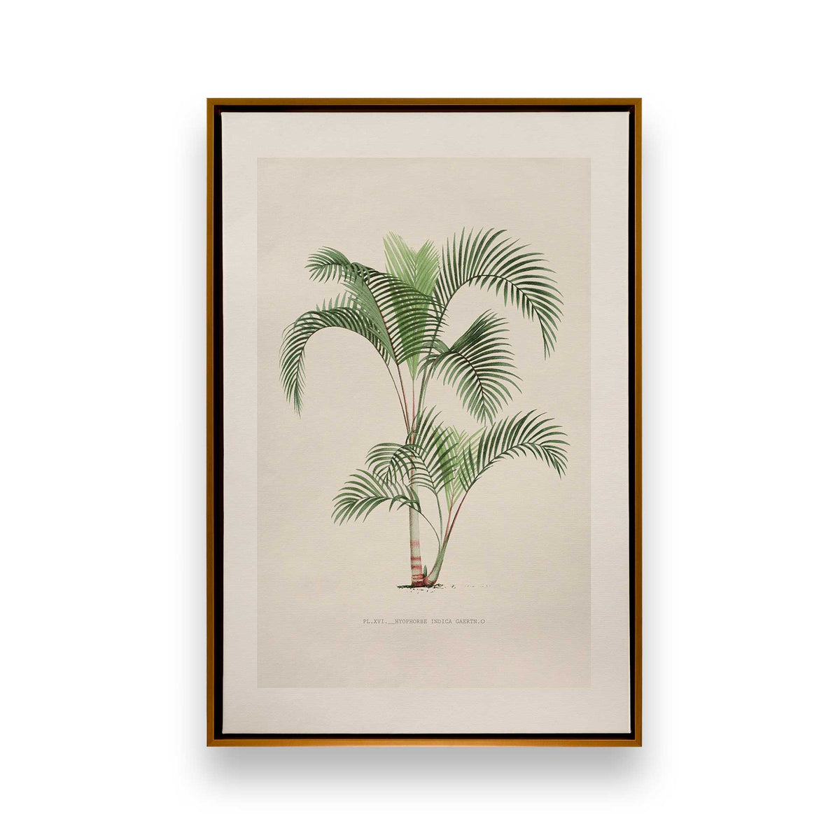 [Color:Polished Gold], Picture of art in a Polished Gold frame