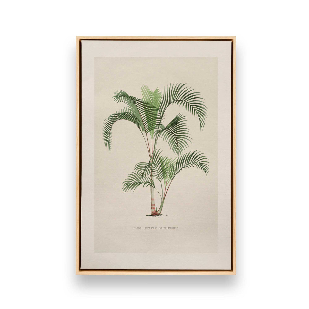 [Color:American Maple], Picture of art in a American Maple frame
