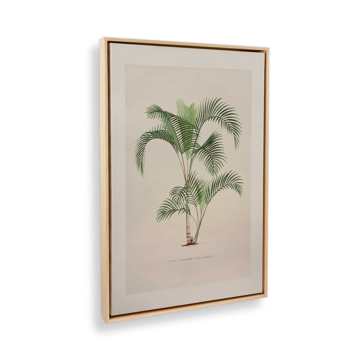 [Color:American Maple], Picture of the corner of the art
