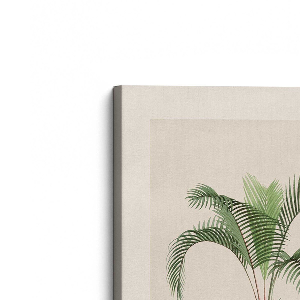 [Color:Stretched Canvas], Picture of the corner of the art