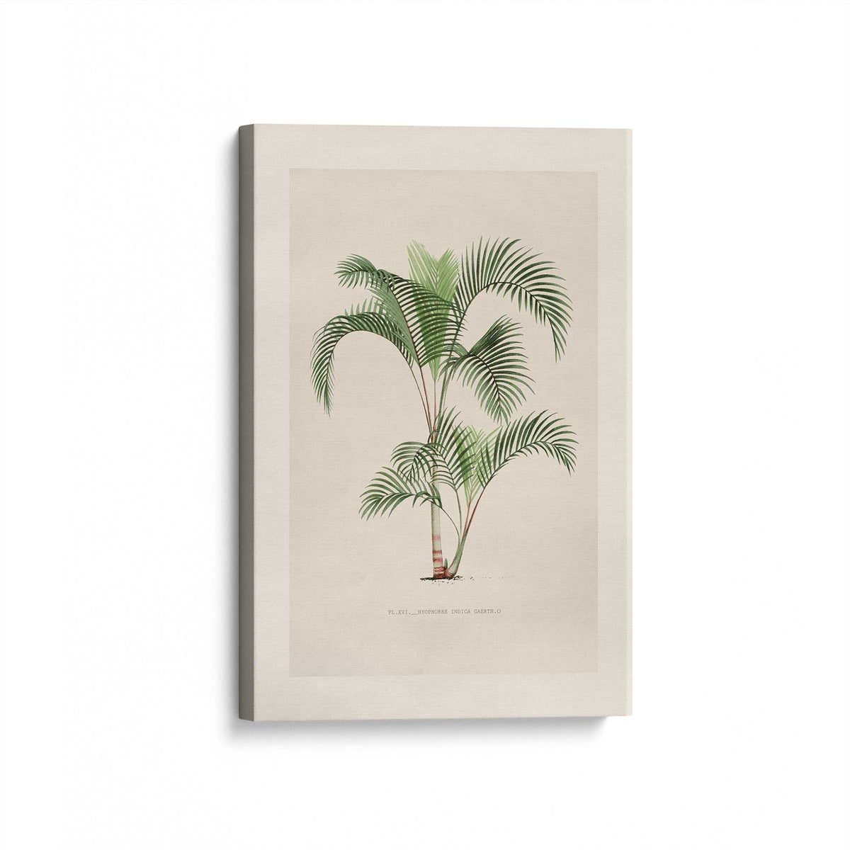[Color:Stretched Canvas], Picture of art at an angle
