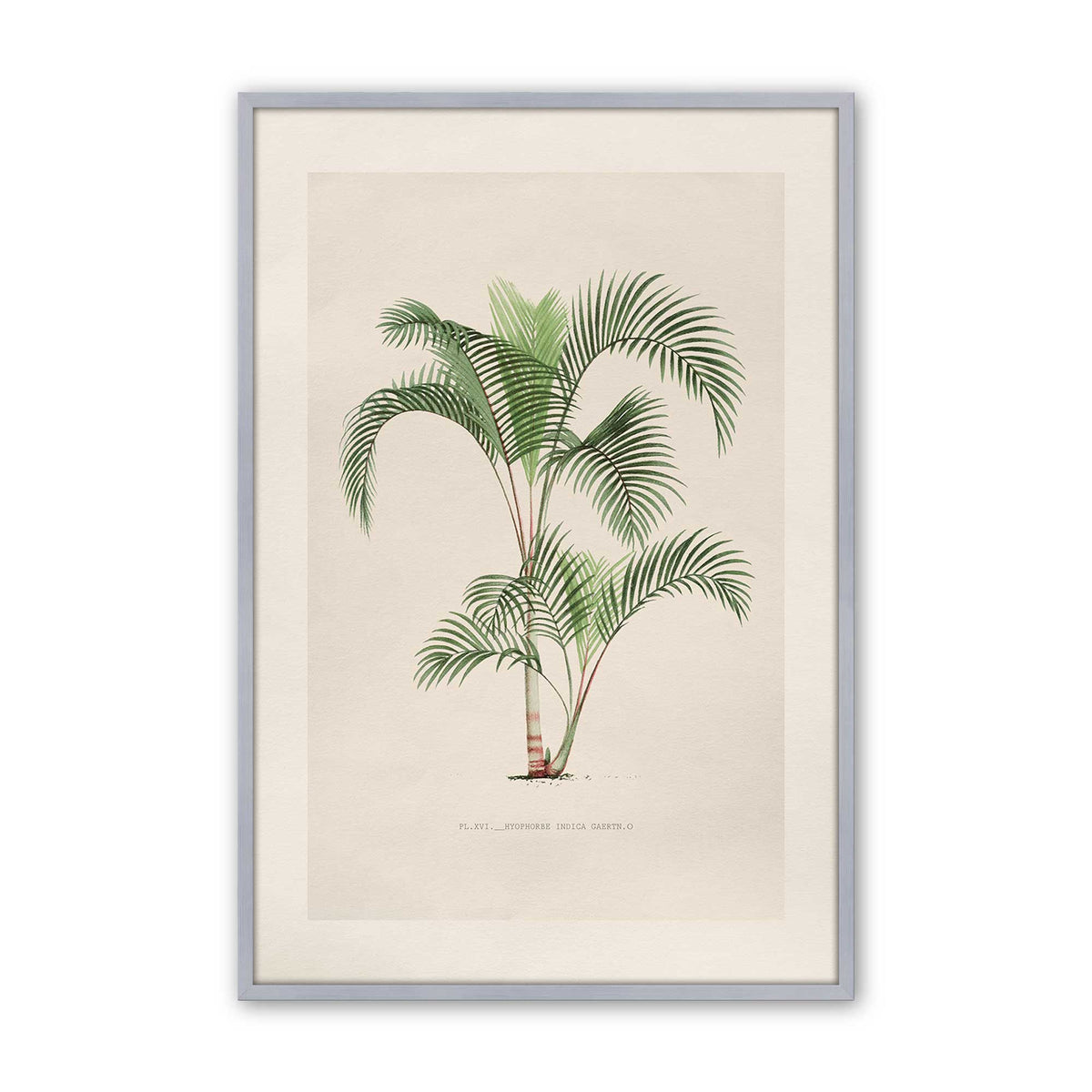 [Color:Polished Chrome], Picture of art in a Polished Chrome frame