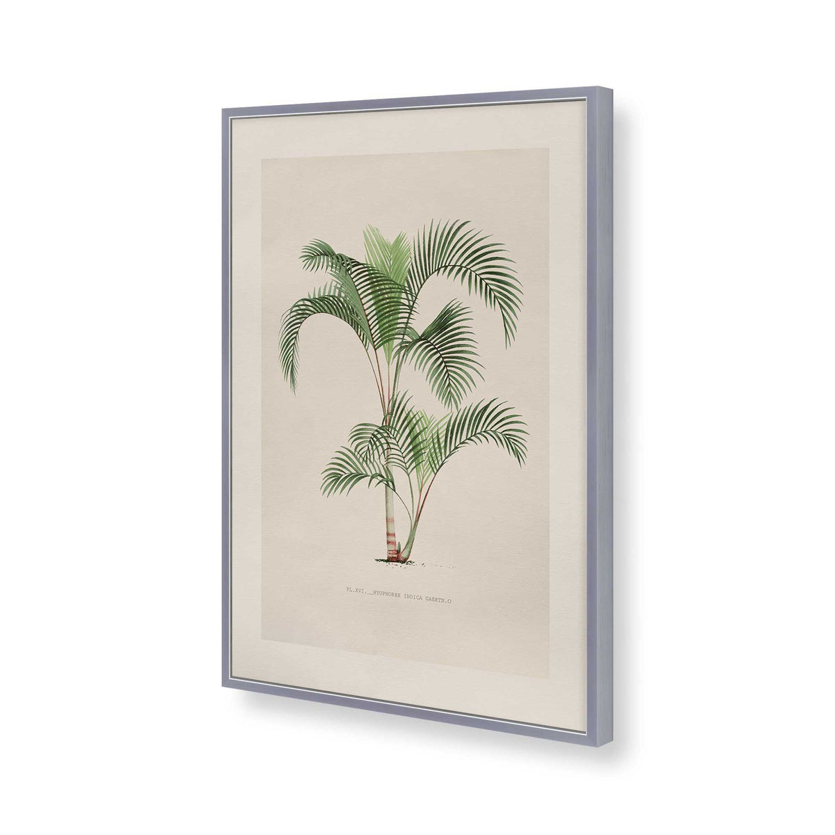 [Color:Polished Chrome], Picture of art in a Polished Chrome frame of the corner
