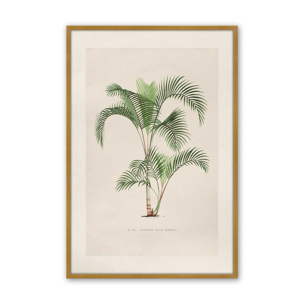 [Color:Polished Gold], Picture of art in a Polished Chrome frame