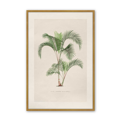 [Color:Polished Gold], Picture of art in a Polished Chrome frame