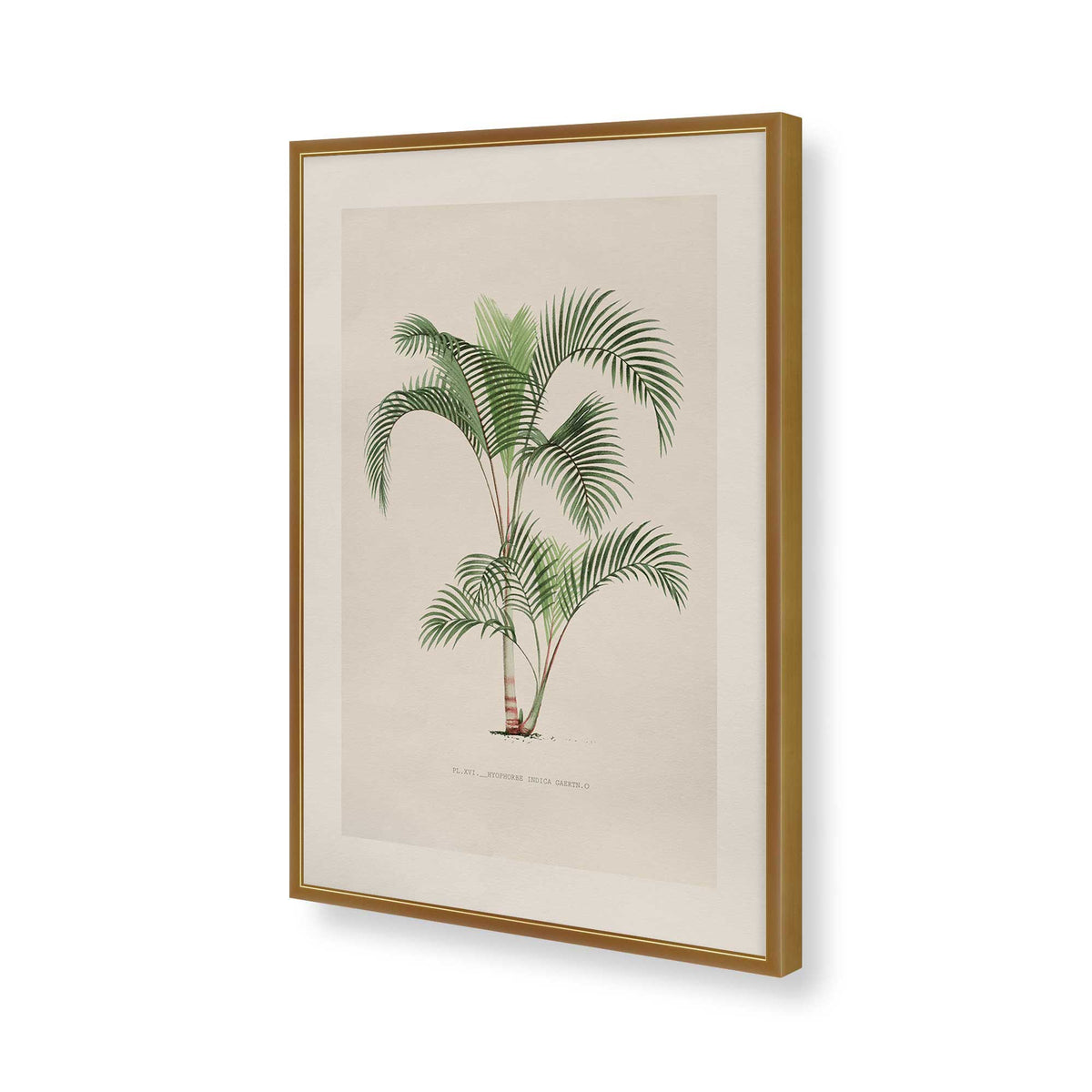 [Color:Polished Gold], Picture of art in a Polished Chrome frame of the corner