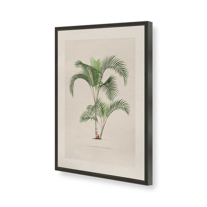 [Color:Satin Black], Picture of art in a Polished Chrome frame of the corner
