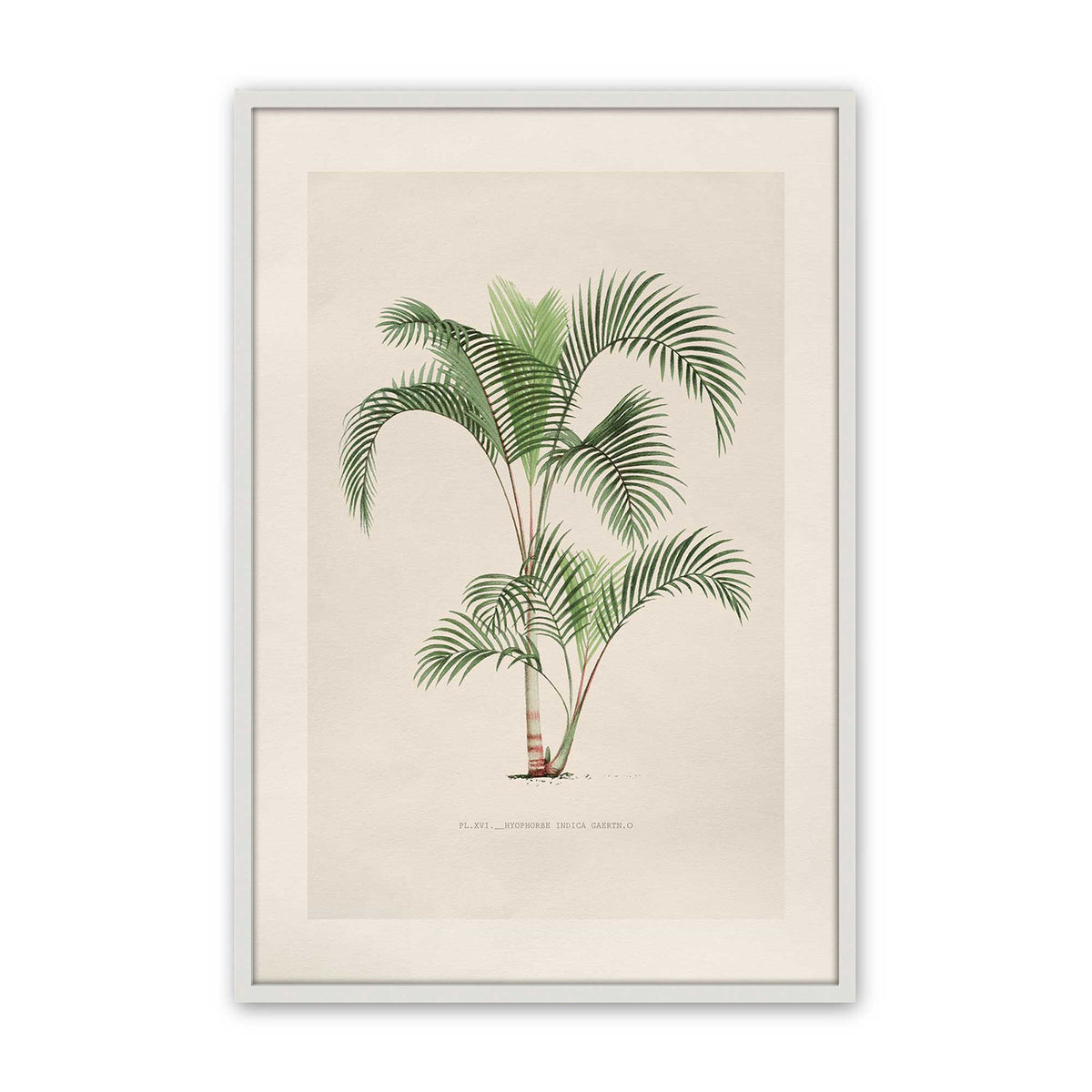 [Color:Opaque White], Picture of art in a Polished Chrome frame