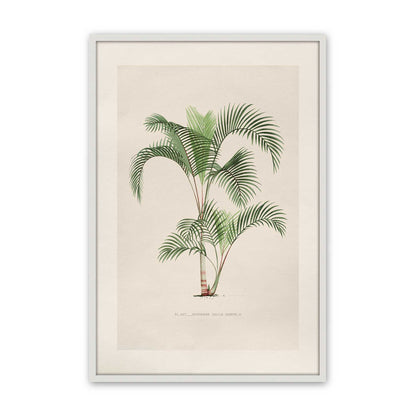 [Color:Opaque White], Picture of art in a Polished Chrome frame