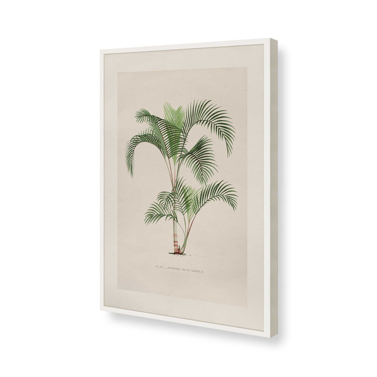 [Color:Opaque White], Picture of art in a Polished Chrome frame of the corner