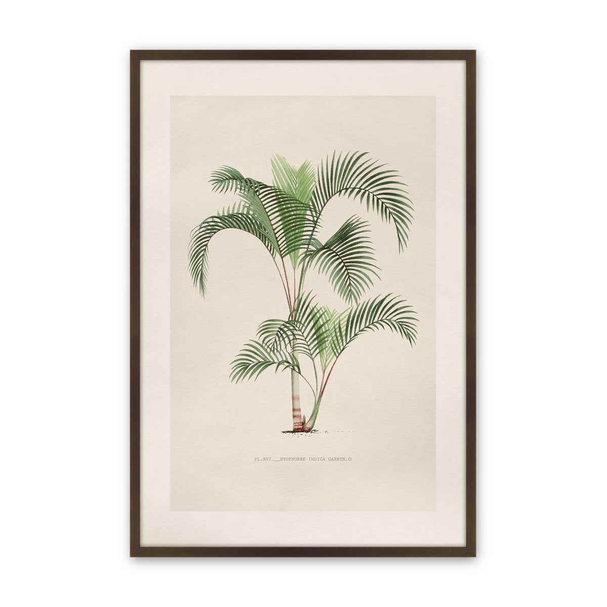 [Color:Belvinder Brown], Picture of art in a Polished Chrome frame