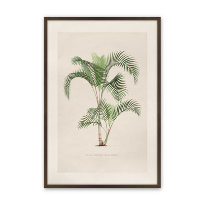 [Color:Belvinder Brown], Picture of art in a Polished Chrome frame