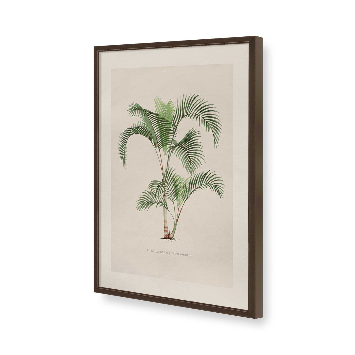 [Color:Belvinder Brown], Picture of art in a Polished Chrome frame of the corner