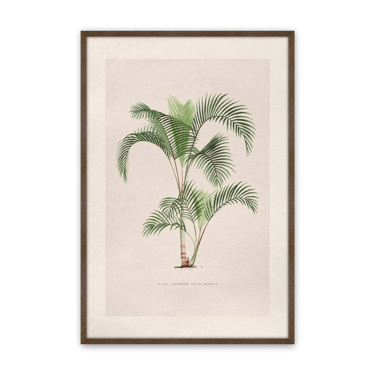 [Color:Walnut], Picture of art in a Polished Chrome frame