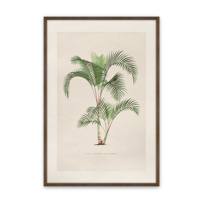 [Color:Walnut], Picture of art in a Polished Chrome frame