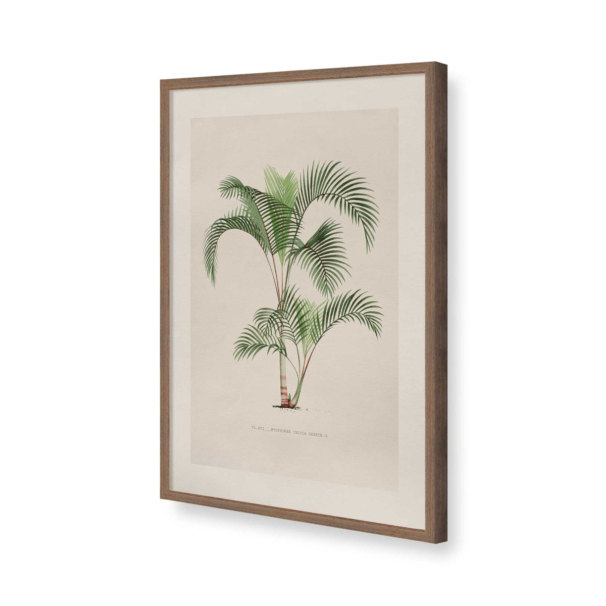 [Color:Walnut], Picture of art in a Polished Chrome frame of the corner