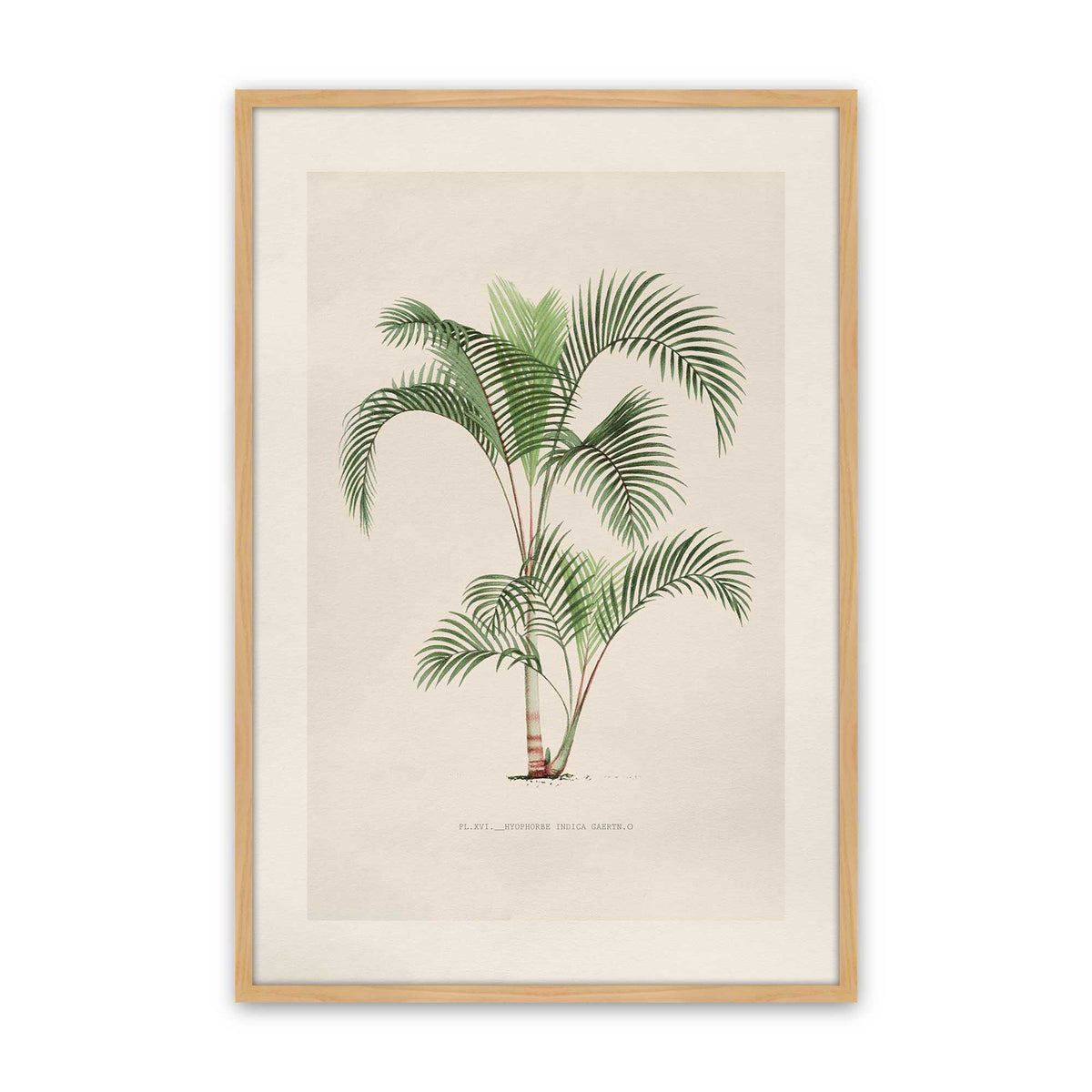 [Color:American Maple], Picture of art in a Polished Chrome frame