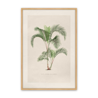 [Color:American Maple], Picture of art in a Polished Chrome frame