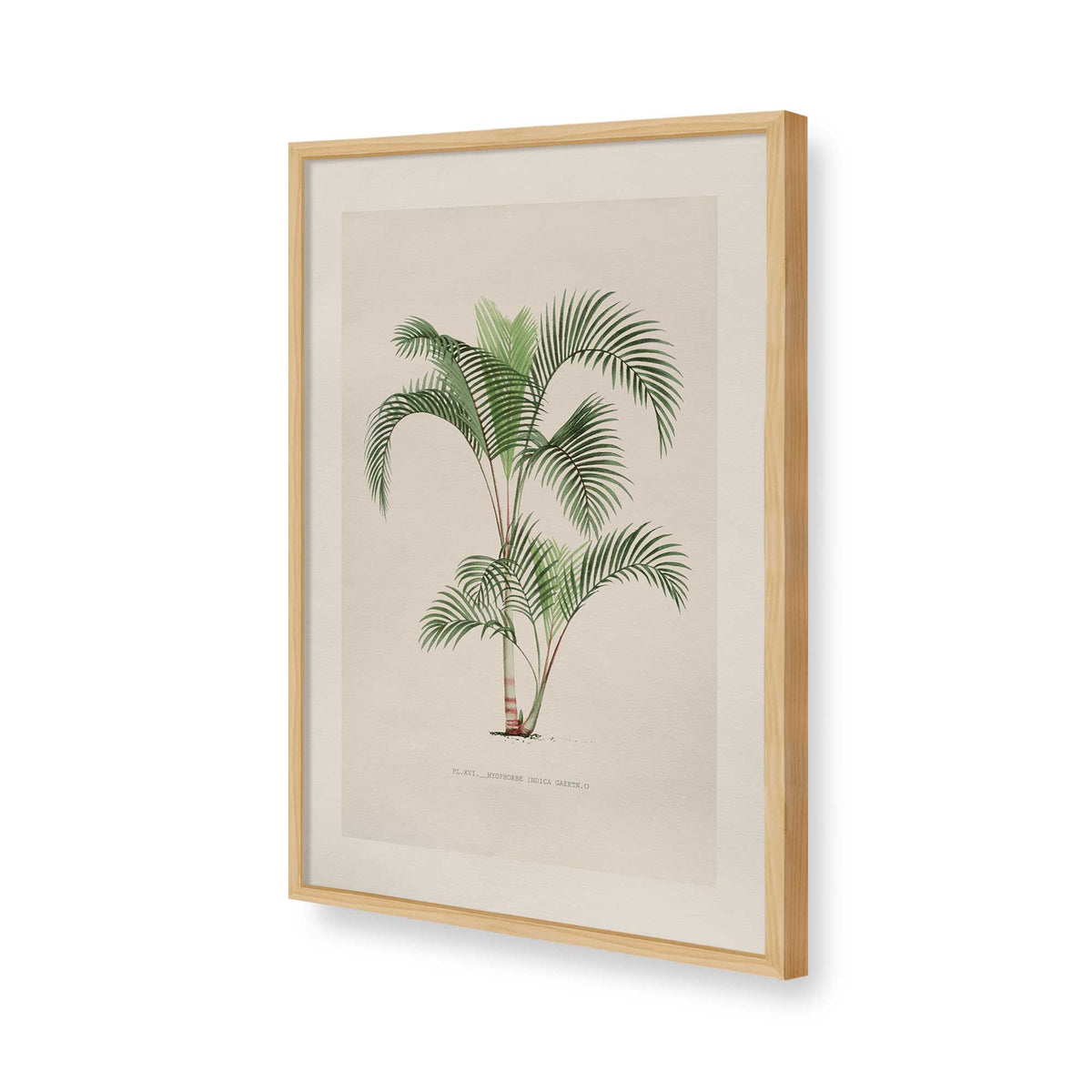 [Color:American Maple], Picture of art in a Polished Chrome frame of the corner