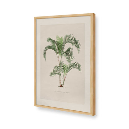 [Color:American Maple], Picture of art in a Polished Chrome frame of the corner