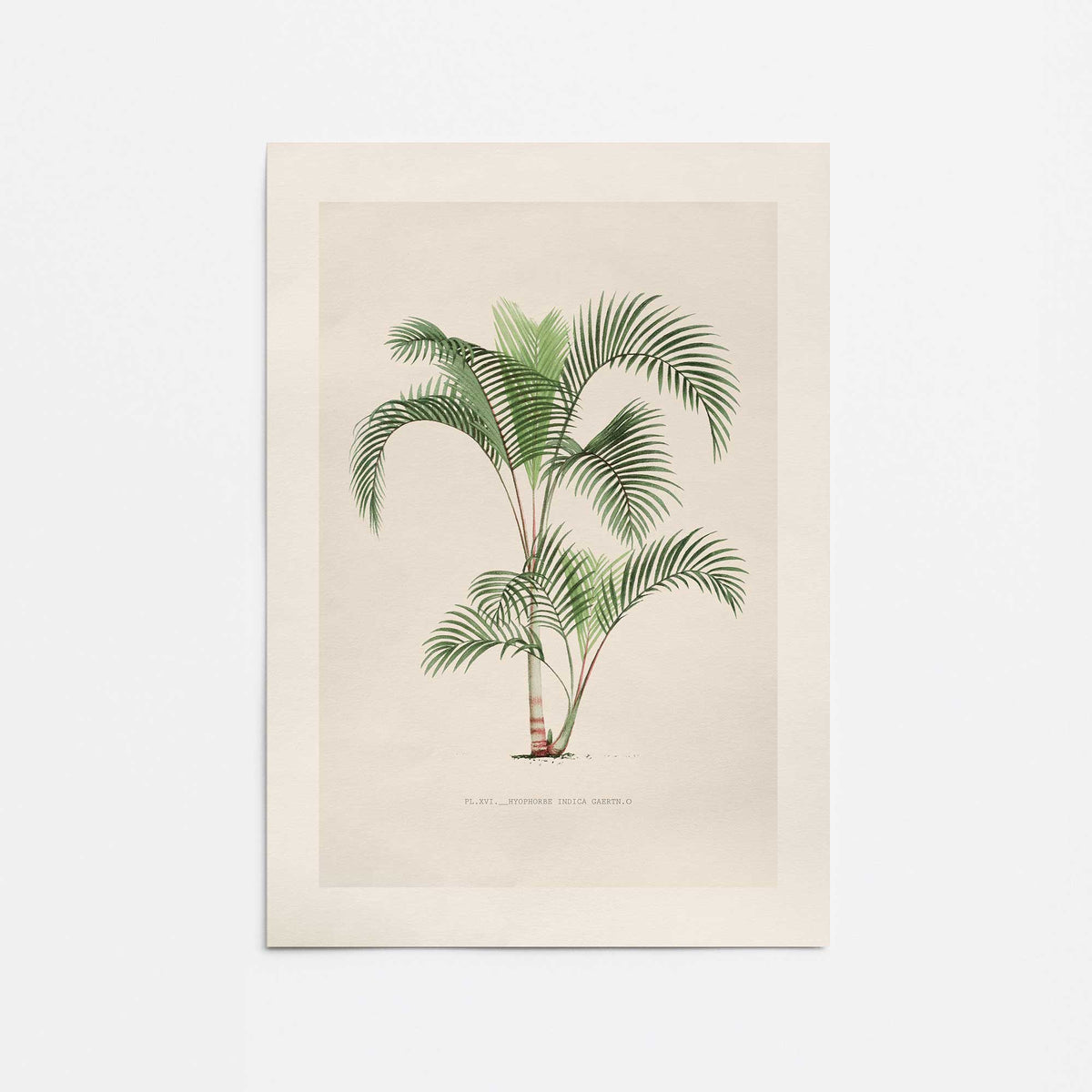 [Color:Rolled Print], Picture of close up of art