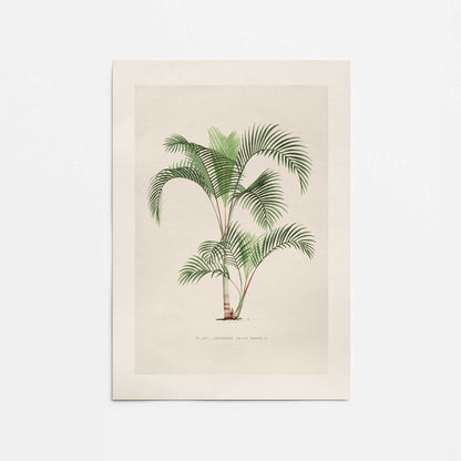 [Color:Rolled Print], Picture of close up of art