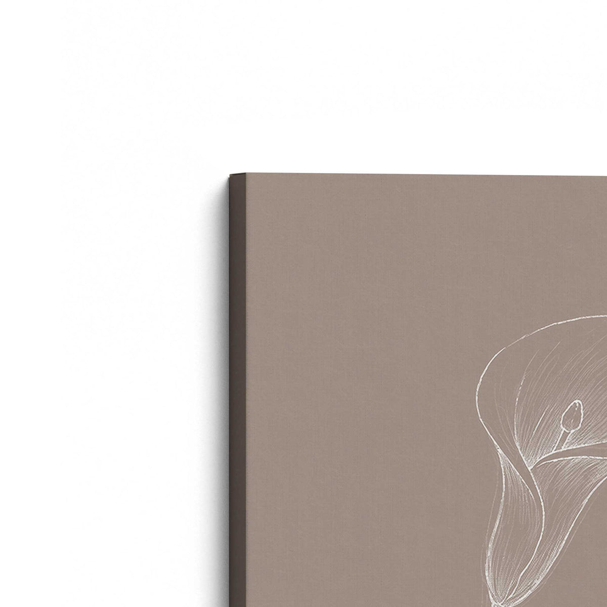 [Color:Stretched Canvas], Picture of the corner of the art