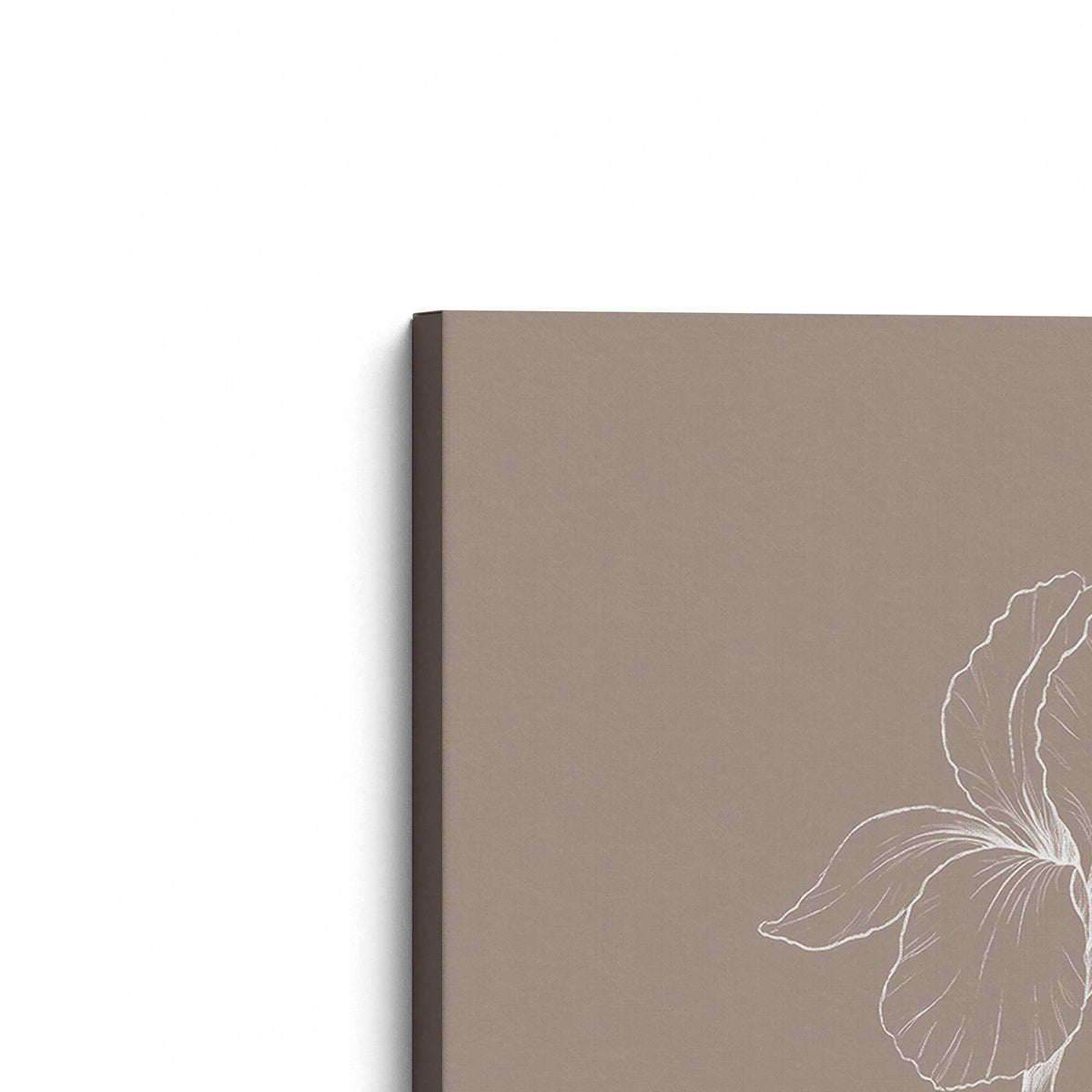 [Color:Stretched Canvas], Picture of the corner of the art
