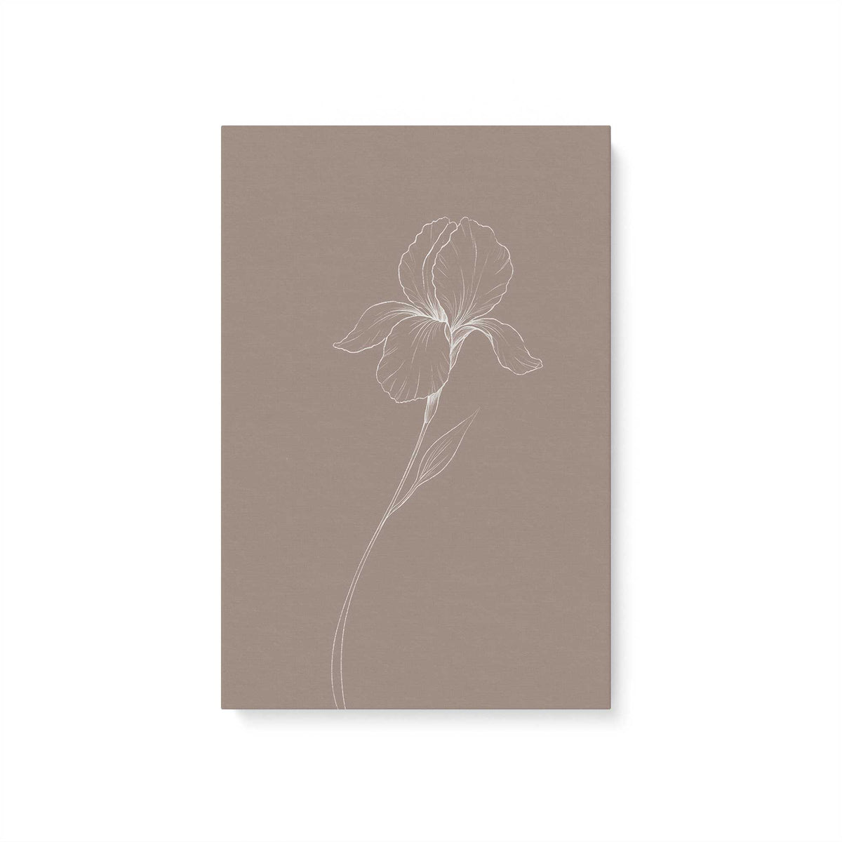 [Color:Stretched Canvas], Picture of art