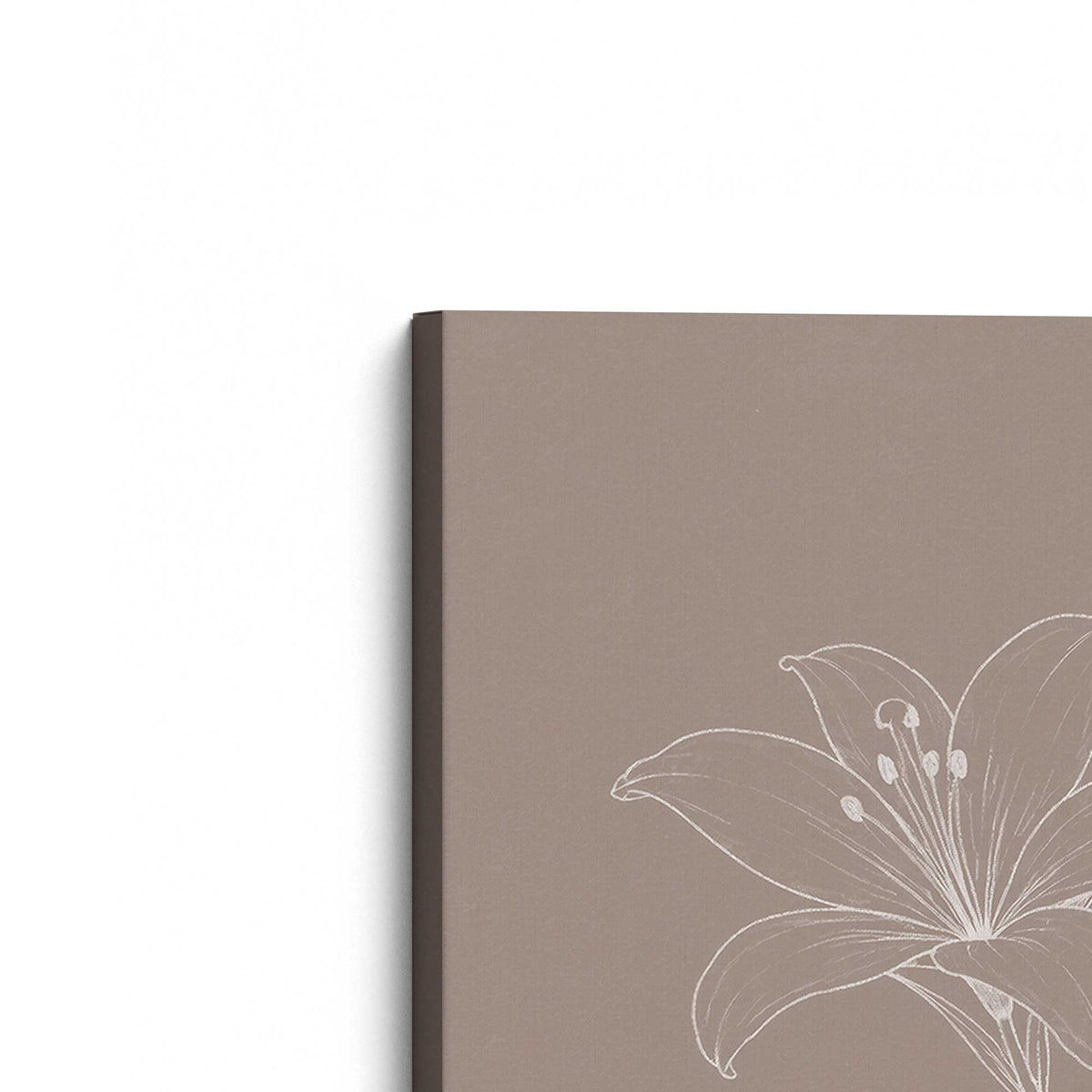 [Color:Stretched Canvas], Picture of the corner of the art