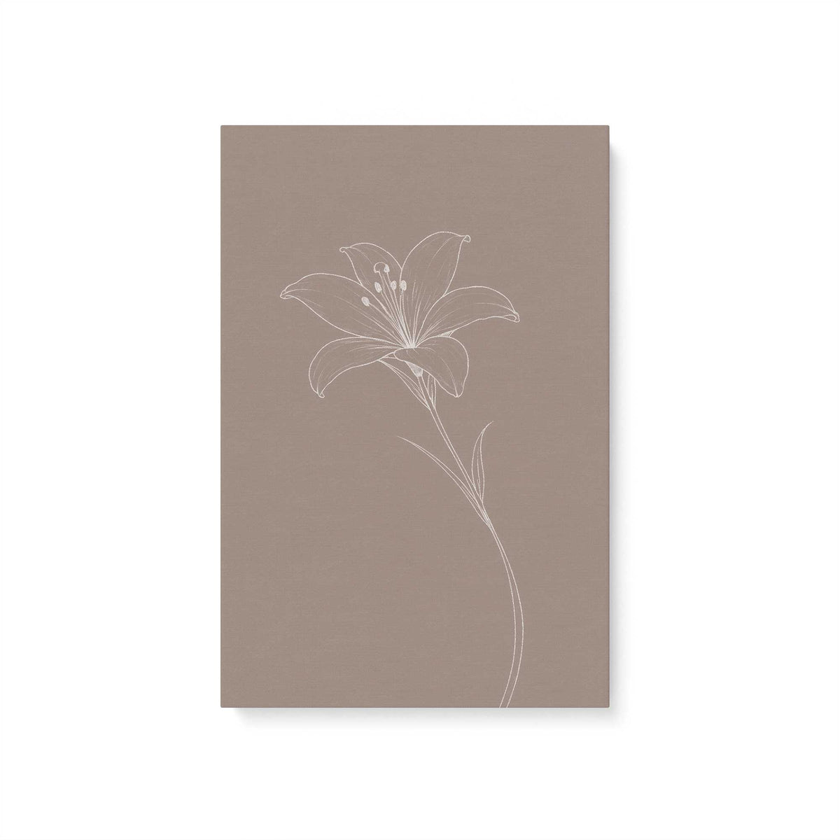 [Color:Stretched Canvas], Picture of art