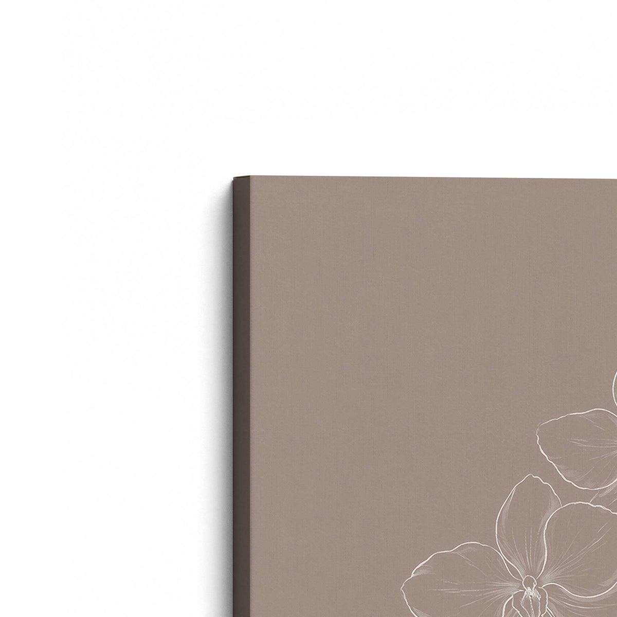 [Color:Stretched Canvas], Picture of the corner of the art