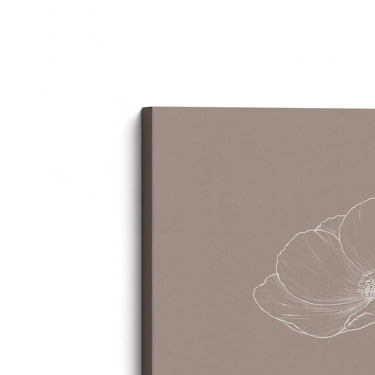 [Color:Stretched Canvas], Picture of the corner of the art