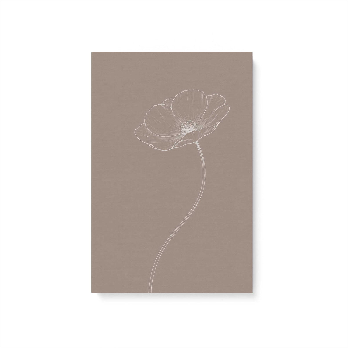 [Color:Stretched Canvas], Picture of art