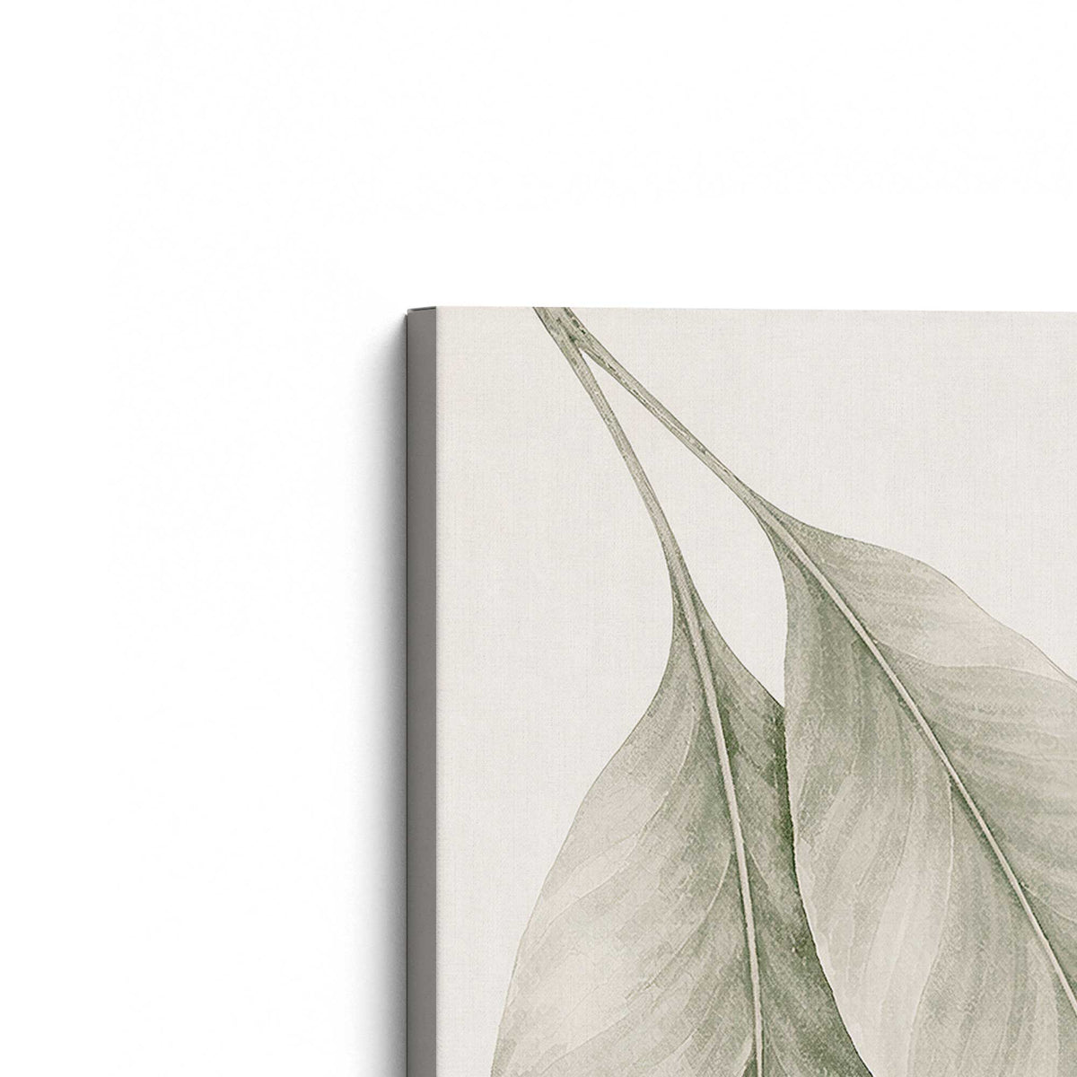 [Color:Stretched Canvas], Picture of the corner of the art