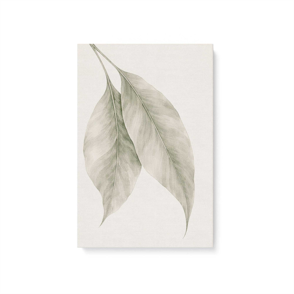 [Color:Stretched Canvas], Picture of art