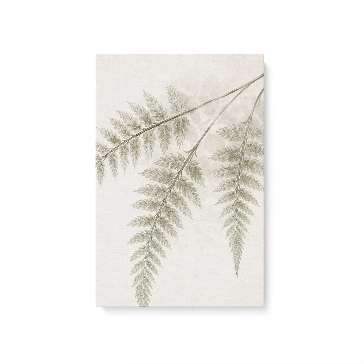 [Color:Stretched Canvas], Picture of art