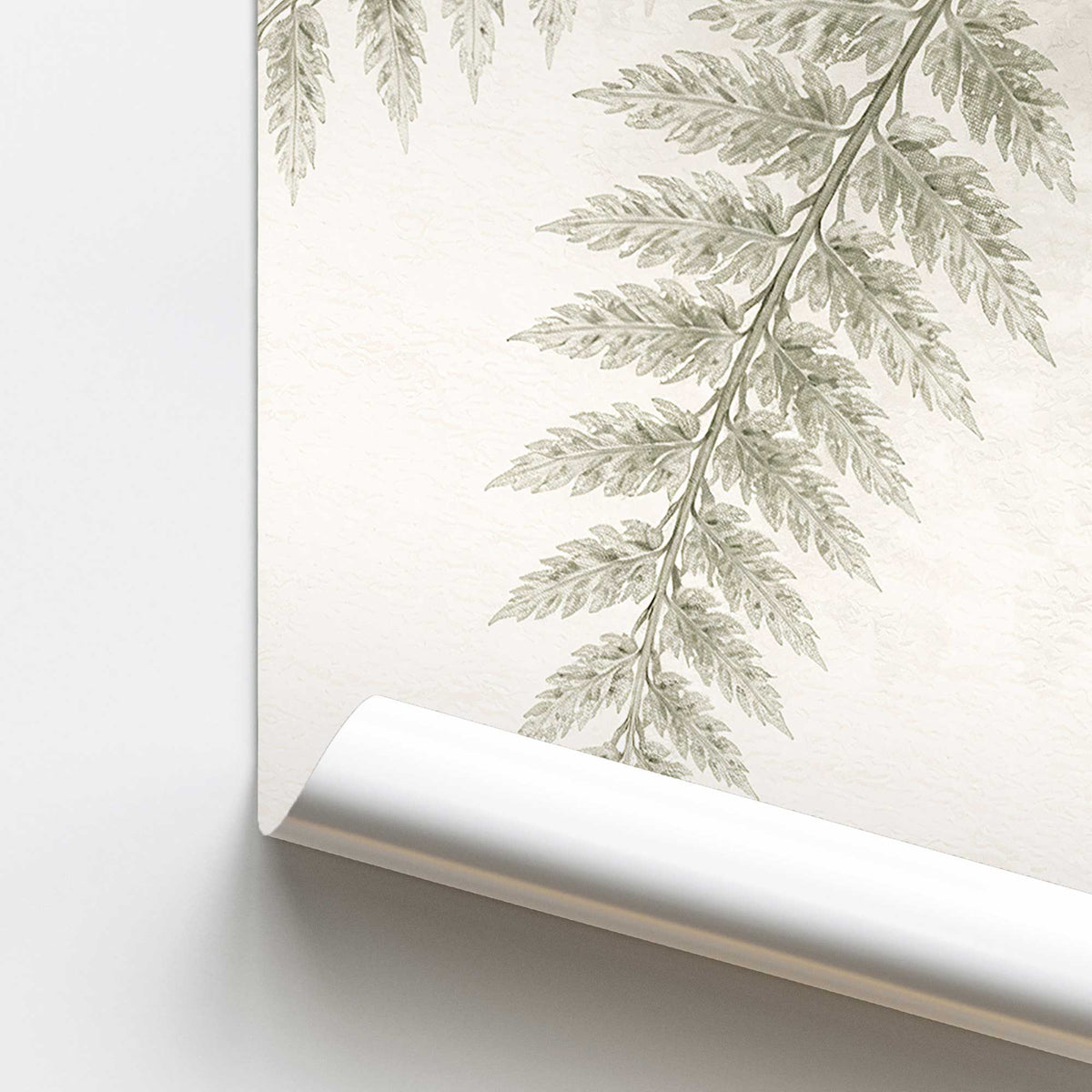 Fern in Stillness Print