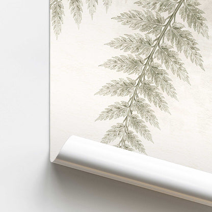 Fern in Stillness Print